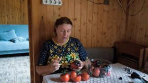 Томат Сержант Пеппер моё честное мнение.