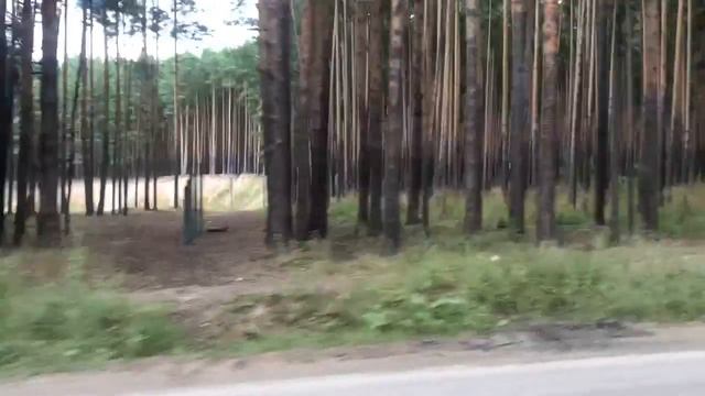 Мопеды сериал | Серия 1289