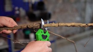 Аккумуляторный бесщеточный секатор Zitrek GreenNer 20 082-1855