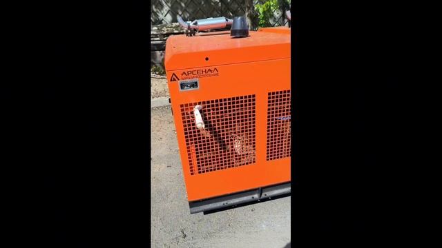 Компрессоры ЗИФ