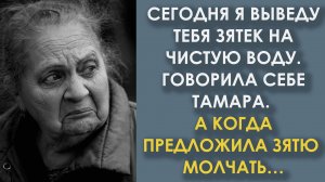 Сегодня я выведу тебя, зятек, на чистую воду. Говорила себе Тамара. А когда предложила зятю молчать