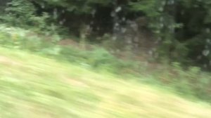 Мопеды сериал | Серия 1254