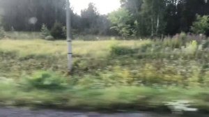 Мопеды сериал | Серия 1244