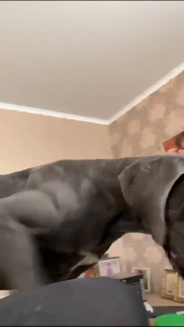 От большой любви)