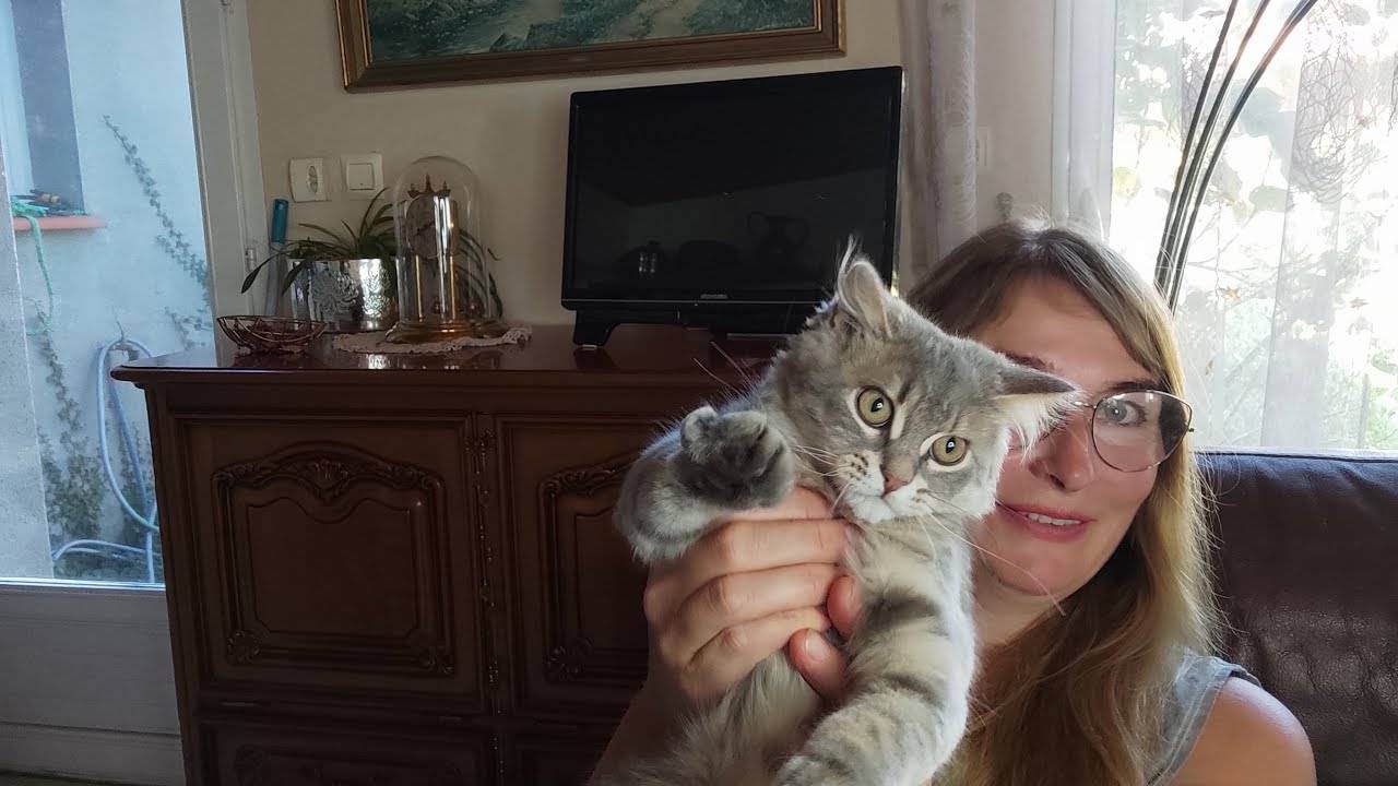 Буллинг блогера. Всемирный хейт @СОБЕСЕДНИЦА смотреть онлайн