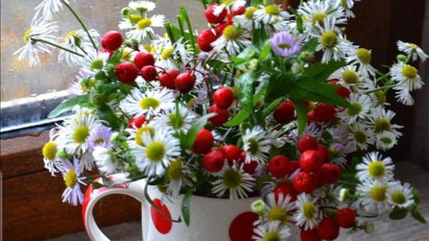 Пожелать доброго утра и хорошего дня 🤗 смотреть онлайн