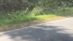 Мопеды сериал | Серия 1253