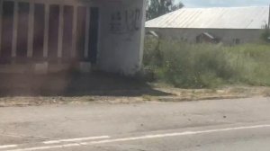 Мопеды сериал | Серия 1215