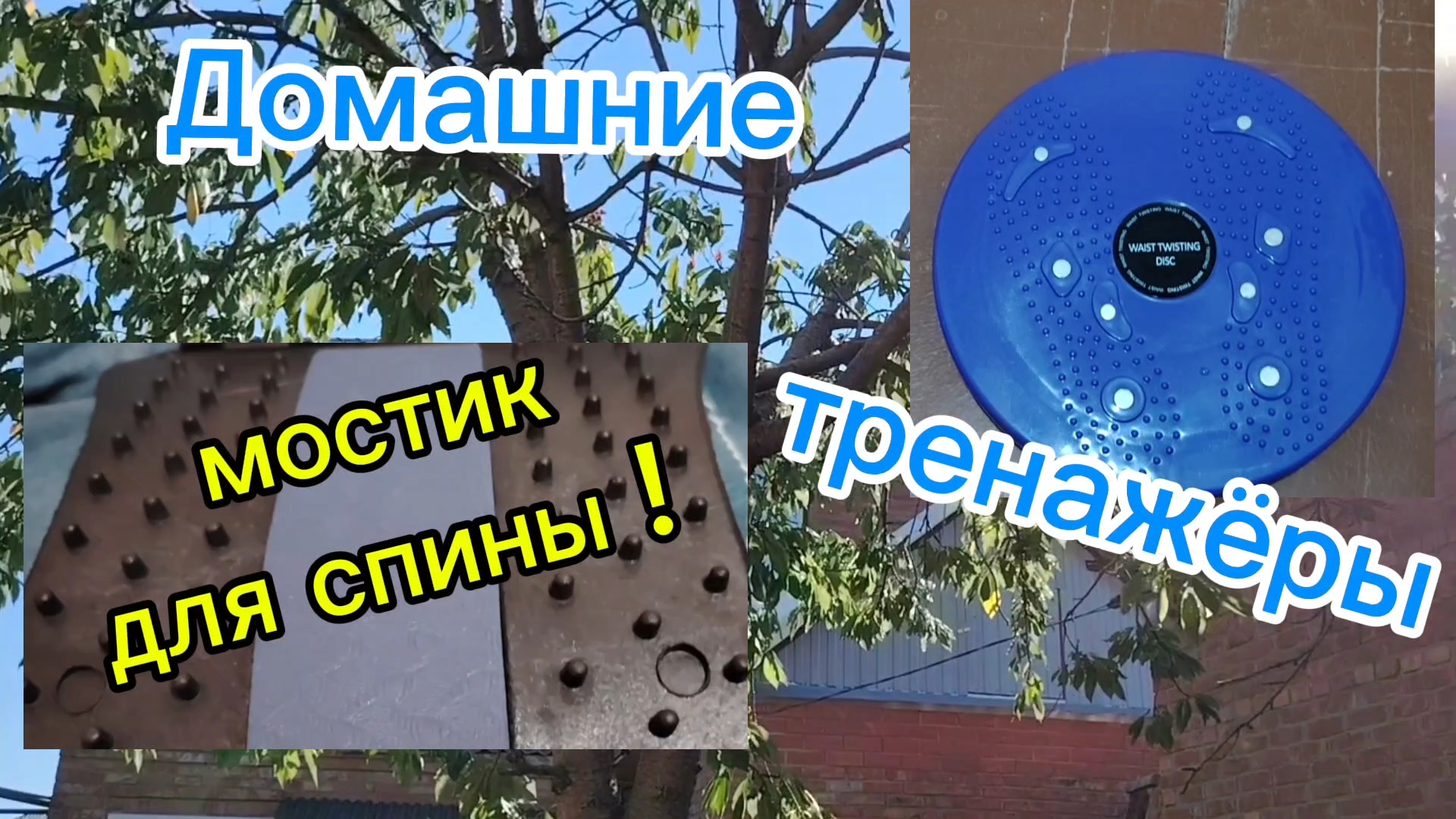 Ейск ! Тренажёры ! ПОМИДОРЫ Я ХОТЕЛА КУПИТЬ, ХОРОШИЕ, ЗАЧЕМ МНЕ ЭТО ПРИВЕЗЛИ ? Я ПРОСИЛА ? смотреть онлайн