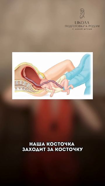 Почему роды — это настоящая тренировка для организма? смотреть онлайн