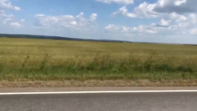 Мопеды сериал | Серия 1203