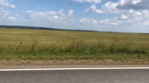 Мопеды сериал | Серия 1203