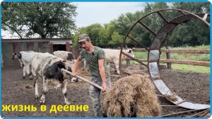 НЕМНОГО ОПАСНО НО НЕ ЧАСТО,  ЖИВЁМ В ДЕРЕВНЕ И НАС ВСЁ УСТРАИВАЕТ