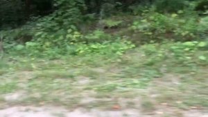 Мопеды сериал | Серия 1276