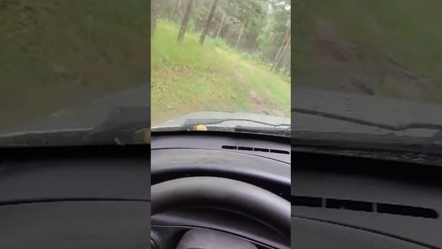 еду на ниве про автомобиль давайте общаться прямая трансляция смотреть онлайн