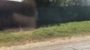 Мопеды сериал | Серия 1205