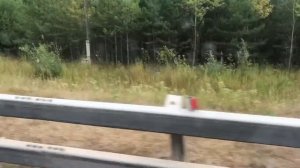 Мопеды сериал | Серия 1242