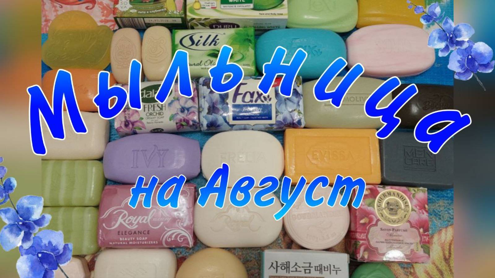Мыльница на Август