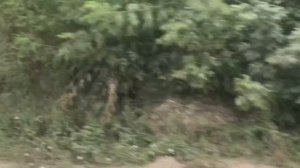 Мопеды сериал | Серия 1287