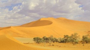 Сахих аль-Бухари, хадисы № 171-180. Фокус темы: ВУДУ - 5