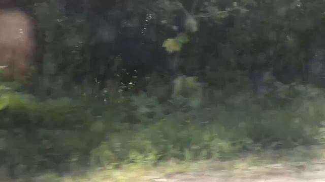 Мопеды сериал | Серия 1275