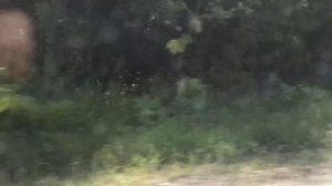 Мопеды сериал | Серия 1275