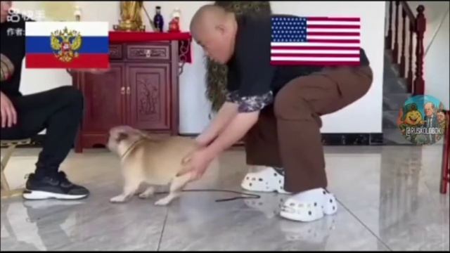 Китайцы максимально правдоподобно обрисовали текущую политическую ситуацию в европе смотреть онлайн