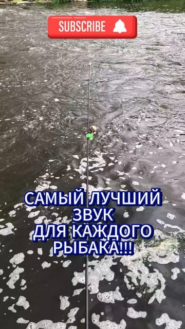 РЫБАЛКА | ЛУЧШИЙ ЗВУК | РЕКА🎣👉 #рыбалка #fishing #рыбак #сом #catfish #река #донка #пиявка #лето