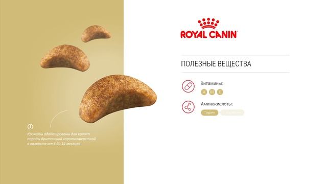 Royal Canin British Shorthair Kitten
