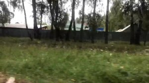 Мопеды сериал | Серия 1291