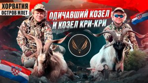 КРИ-КРИ: Охота в горах Хорватии | В погоне за одичавшим козлом | ГОРНАЯ ОХОТА