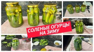 Солёные огурчики – хрустим всю зиму! Простой и вкусный способ заготовки