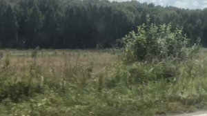 Мопеды сериал | Серия 1295