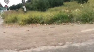 Мопеды сериал | Серия 1190