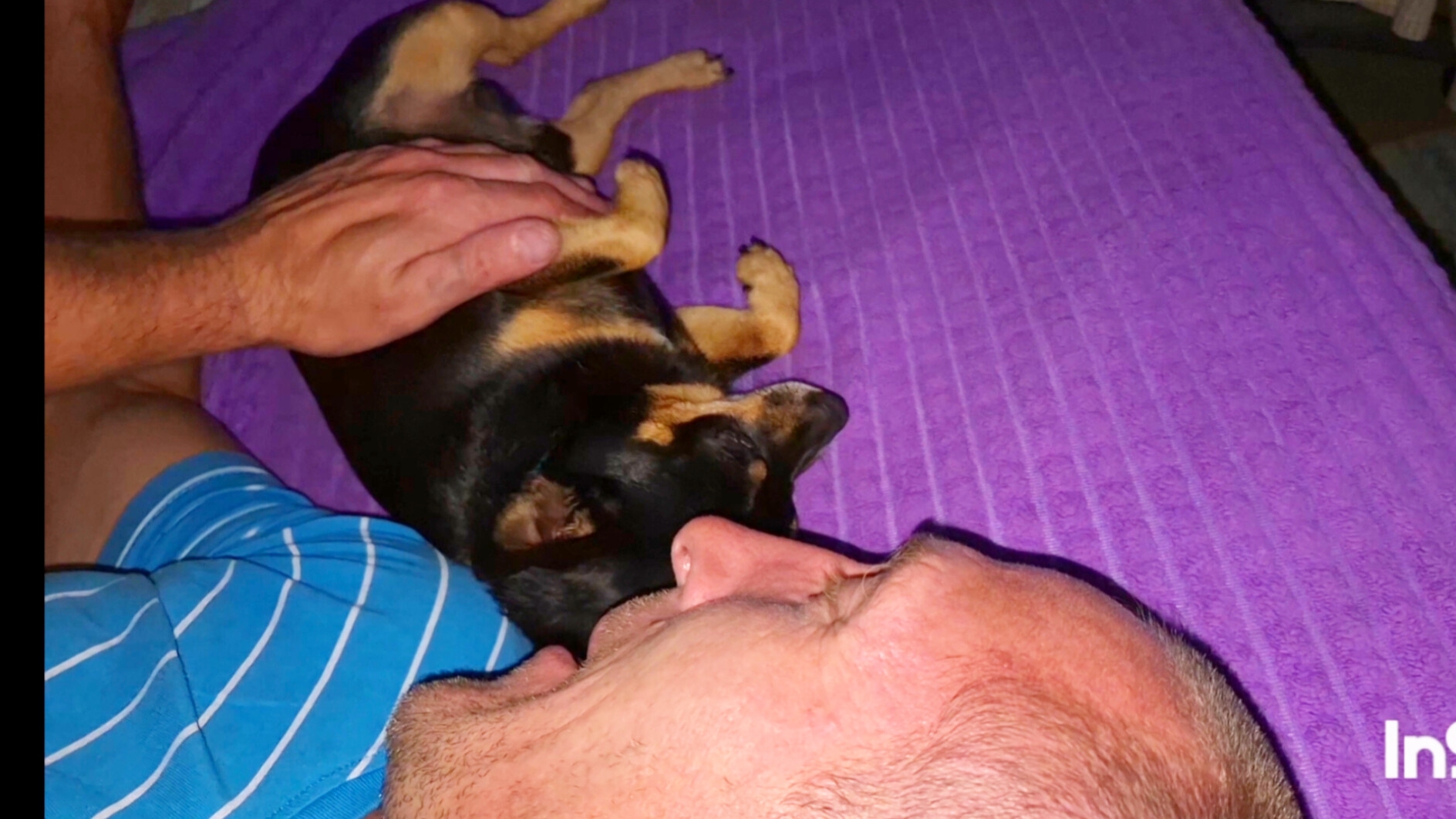 Моя Деревня на Алтае,влог,жизнь простой семьи в России смотреть онлайн