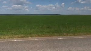 Мопеды сериал | Серия 1261