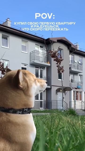 Квартиры в Калининграде от 2 691 000 руб! #калининград #домпродажа #квартиры #природа #ипотека #мем