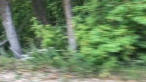 Мопеды сериал | Серия 1273