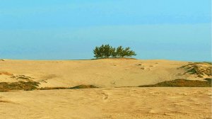 Сахих аль-Бухари, хадисы № 101-110. Фокус темы: ЗНАНИЯ - 5