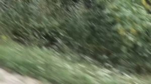 Мопеды сериал | Серия 1279