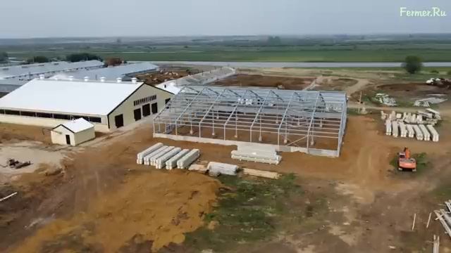 Современная ферма КРС: система навозоудаления, робот и содержание КРС