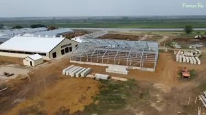 Современная ферма КРС: система навозоудаления, робот и содержание КРС