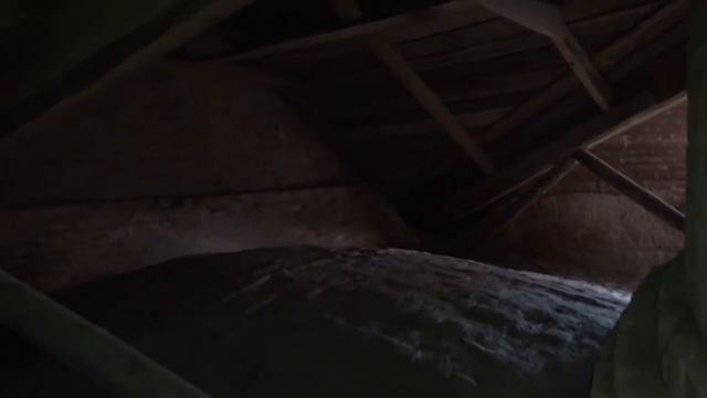 ЧЕРЕЗ 100 лет заглянули под крышу / КАК ВЫГЛЯДЯТ НОВОРОЖДЕННЫЕ ГОЛУБИ смотреть онлайн