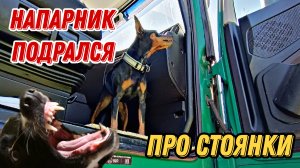 Напарник подрался / Стоянка 👎 / Дальнобой в Итеко