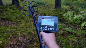 Праведный МД Stalker-IB