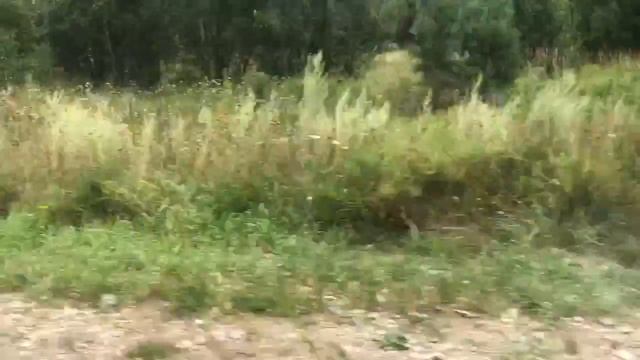 Мопеды сериал | Серия 1255