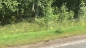 Мопеды сериал | Серия 1236