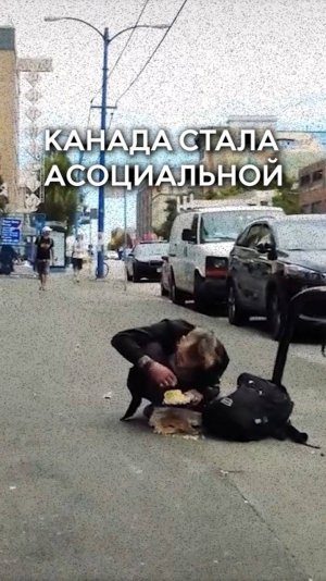 Семья с семью детьми переехала из Канады в Россию. Почему?