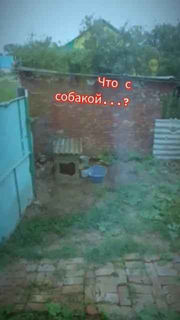 У меня был дождь