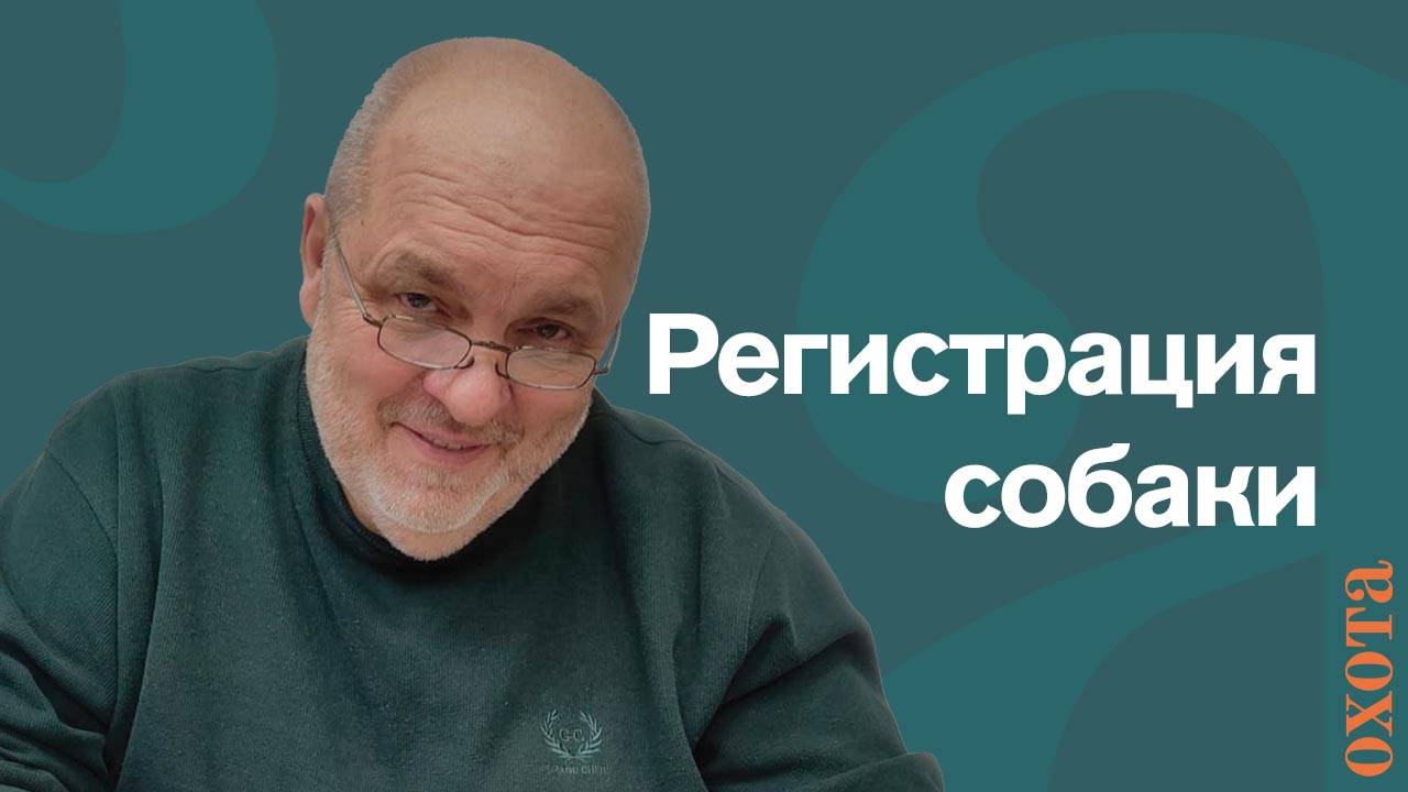 Регистрация собаки. Валерий Кузенков о том, нужно ли регистрировать щенка? смотреть онлайн